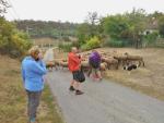 Wandelen in Hongarije in natuurpark Mei a.s.